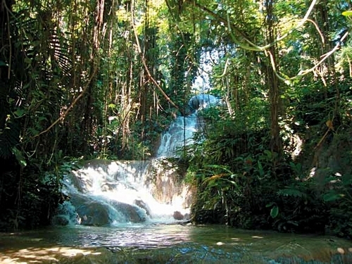 Ocho Rios prospect plantation and dunns river falls Shore Excursion Prices