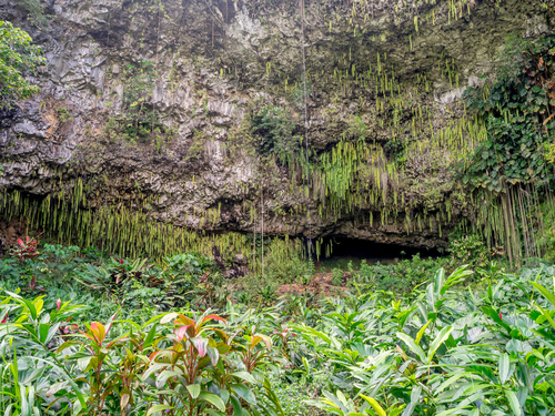 Nawiliwili Kauai Wailua River Trip Prices