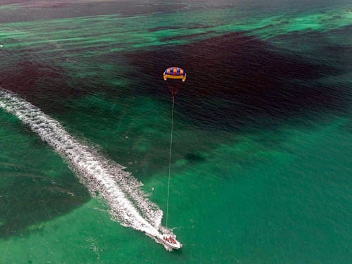 Mahogany Bay parasailing at West End Cruise Excursion Tickets