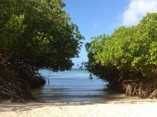 Aruba Indian Drawings UTV Excursion Booking