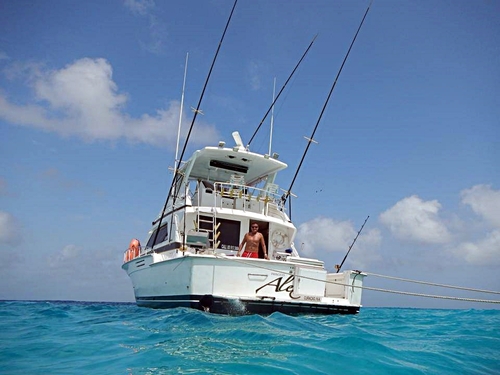 Curacao deep sea fishing Trip Prices