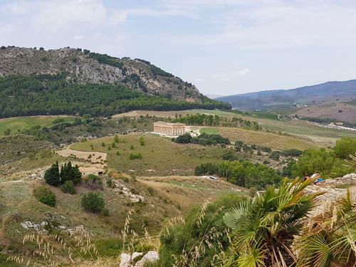 Palermo Full Day Segesta with Wine Experience Excursion