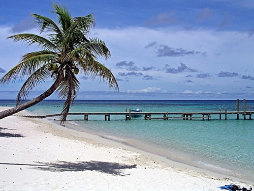 Roatan Honduras zipline and beach Cruise Excursion Reservations