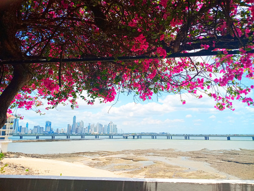 Panama City Colonial Heritage and History Walking Excursion