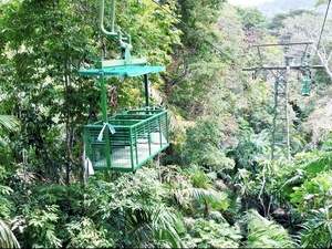 Panama Colon Jungle Views by Aerial Tram and Sightseeing Excursion