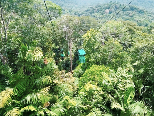 Panama Colon Jungle Views by Aerial Tram and Sightseeing Excursion