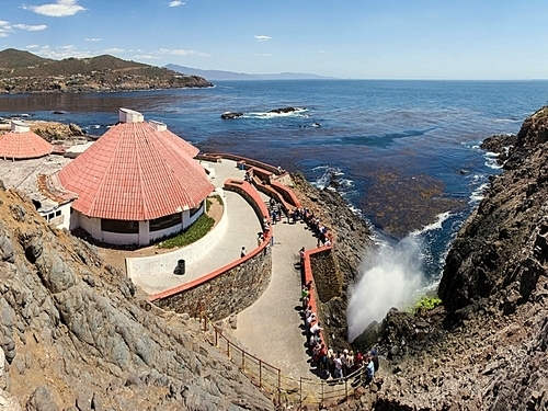 Ensenada Blowhole Tickets Reviews