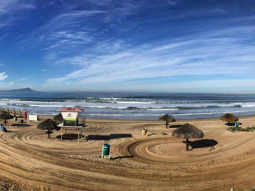 Ensenada fish market Excursion Booking