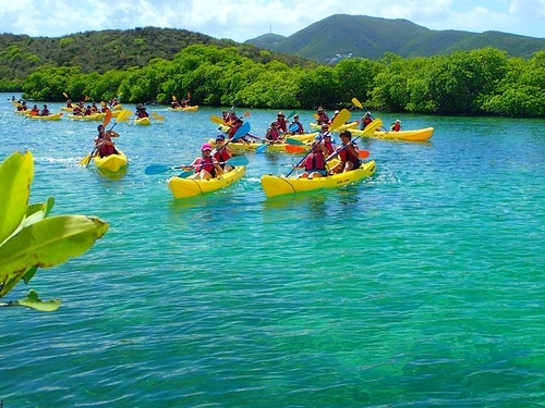 Virgin Islands kayak Cruise Excursion Reviews