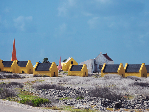 Bonaire lac bay Excursion Reservations