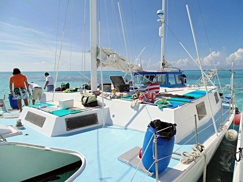Best Cozumel Catamaran Sail and Coral Reef Snorkel