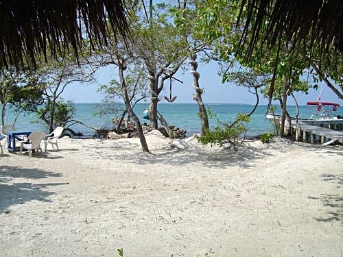 Cartagena see beautiful underwater sights Trip
