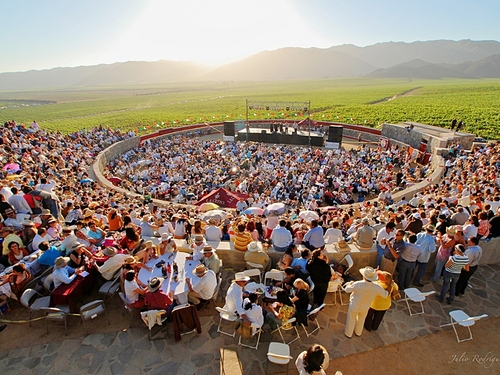 Ensenada Mexico wine tasting Cruise Excursion