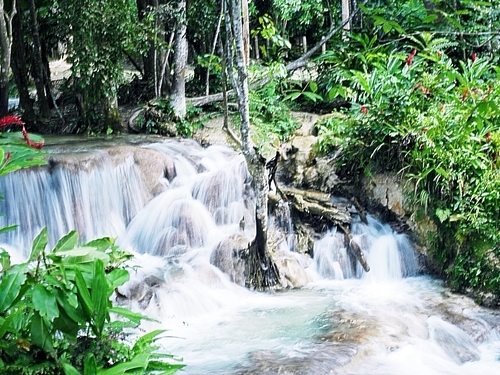 Falmouth dunns falls Trip Reservations