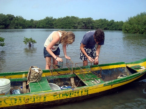 Cartagena trawling Booking