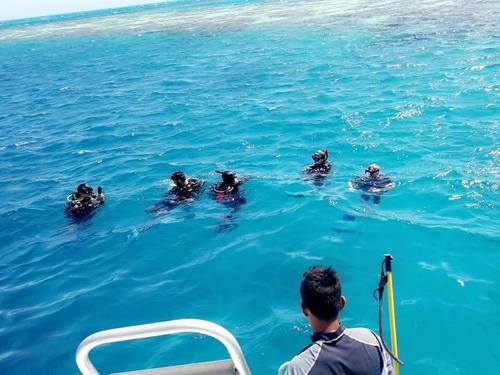 Belize snorkel with sharks  Trip Reviews
