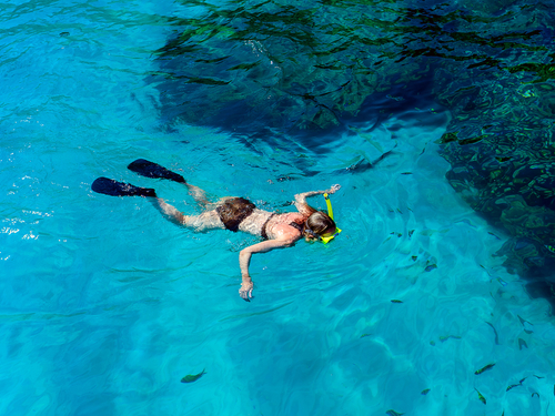 Belize Goff's Caye Island Trip Tickets