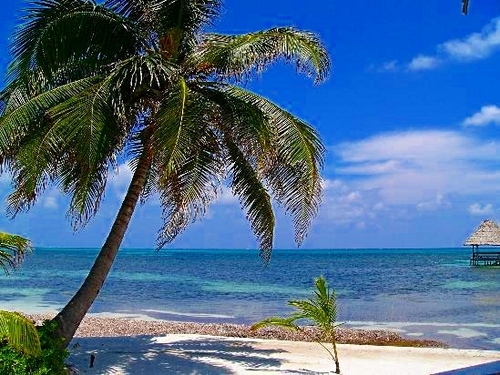 Belize Belize Goff's Caye Island Shore Excursion Reservations