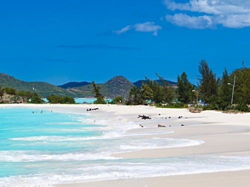 St. Johns Antigua island sightseeing Trip Tickets