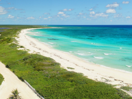 Playa del Carmen (Calica) crocodile lagoon Tour Prices