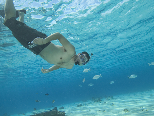 Playa del Carmen (Calica) Punta Sur Park Excursion Booking