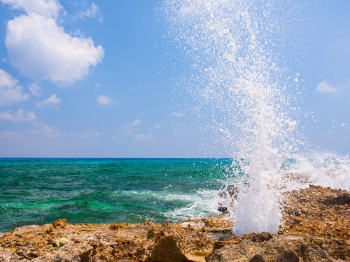 Playa del Carmen (Calica) snorkeling Trip Reviews