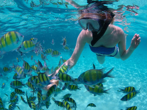 Playa del Carmen (Calica) Swimming Cruise Excursion Reservations
