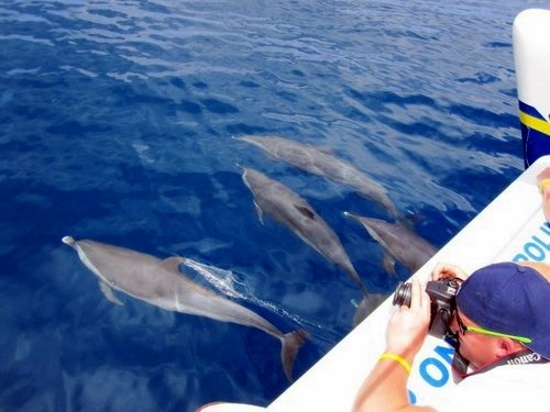 St. Lucia Marigot bay Excursion Reservations