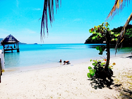 Roatan painting Excursion Reviews