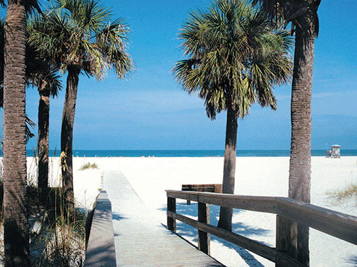 Port Canaveral (Orlando) Family Shore Excursion Booking