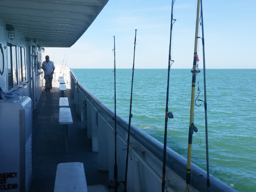 Port Canaveral (Orlando) License Excursion Reviews