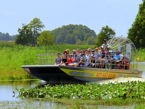 Port Canaveral (Orlando) alligators Cruise Excursion Reservations