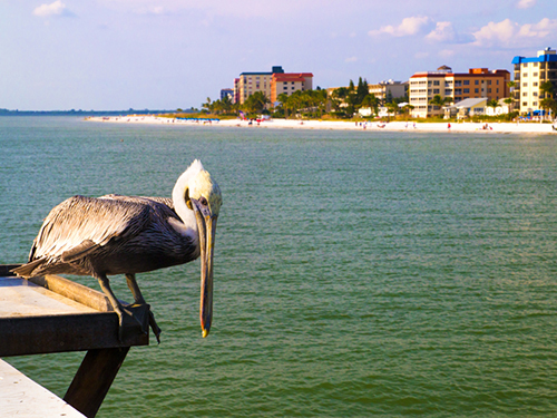 Port Canaveral (Orlando)  Florida / USA Beach Break Shore Excursion Reservations