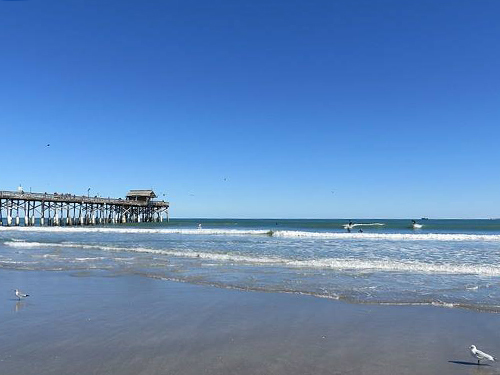 Port Canaveral (Orlando) Swimming Surfing Shore Excursion Prices
