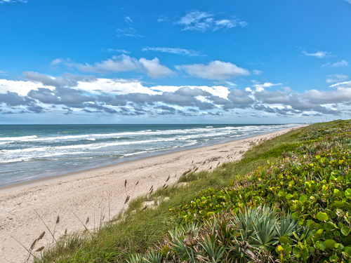 Port Canaveral Cocoa Village and Cocoa Beach Excursion