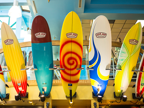 Port Canaveral (Orlando)  Florida / USA Fun Surfing Cruise Excursion Prices