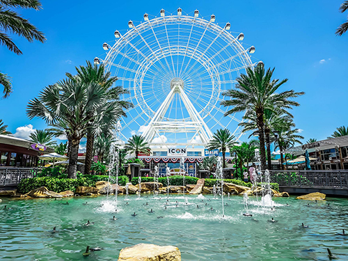 Port Canaveral (Orlando)  Florida / USA Disney Springs Cruise Excursion Reviews