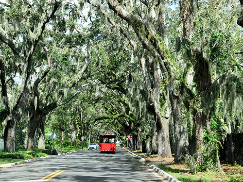 Port Canaveral (Orlando)  Florida / USA Oldest Town Sightseeing Excursion Reviews