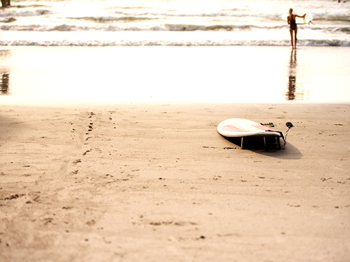 Port Canaveral (Orlando)  Florida / USA Surfing  Surfing Shore Excursion Prices