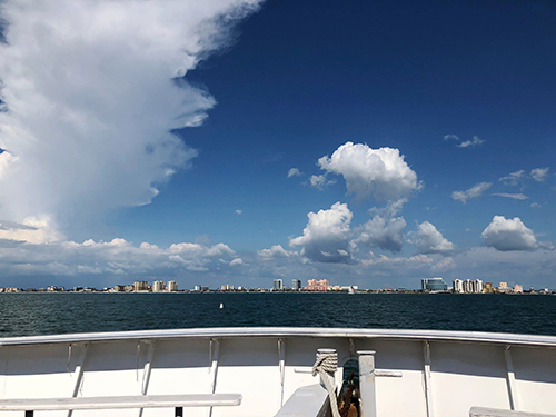 Port Canaveral (Orlando) License Fishing Tour Reservations
