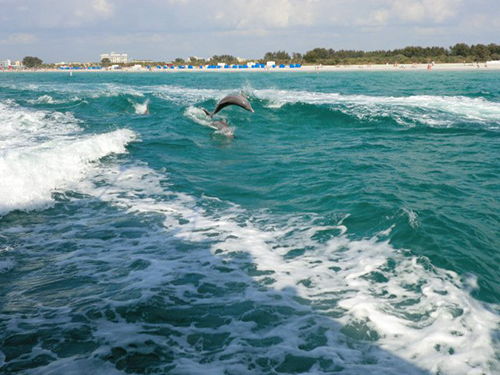 Port Canaveral (Orlando) Beach Break Trip Reservations