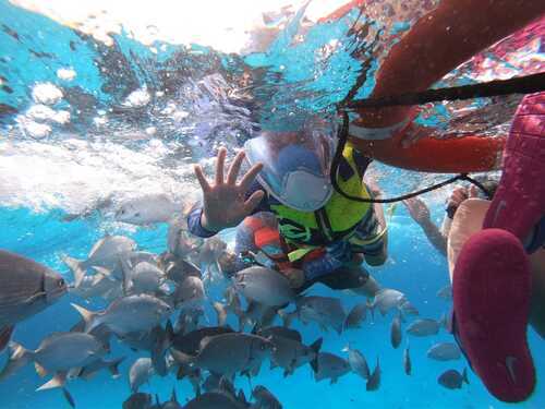 Cozumel el cielo sandbar Tour Prices