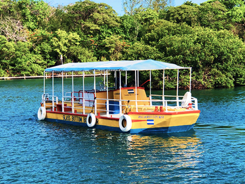 Roatan submarine Trip Reviews