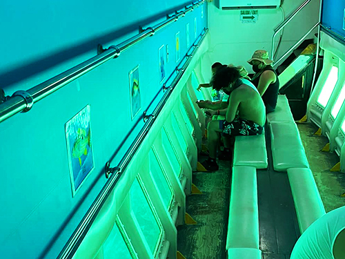 Roatan submarine Shore Excursion Cost