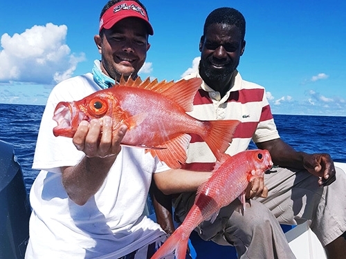 St. Lucia Caribbean Bottom Fishing Excursion - St. Lucia (Castries