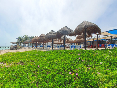 Progreso Beach Tour Prices