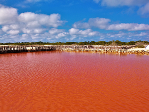 Progreso Xcambo Mayan Ruins, Flamingos, Pink Lagoon and Beach Break Excursion
