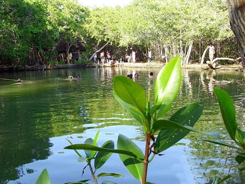 Progreso (Yucatan) Beach Break Trip Reviews