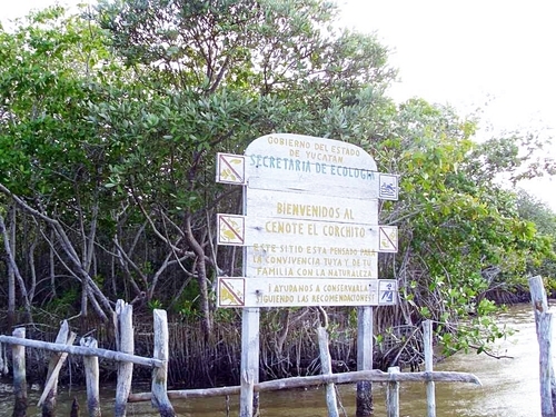Progreso (Yucatan) Beach Club Excursion Booking