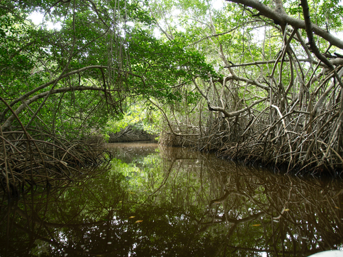 Progreso (Yucatan) Fresh Water Excursion Reviews